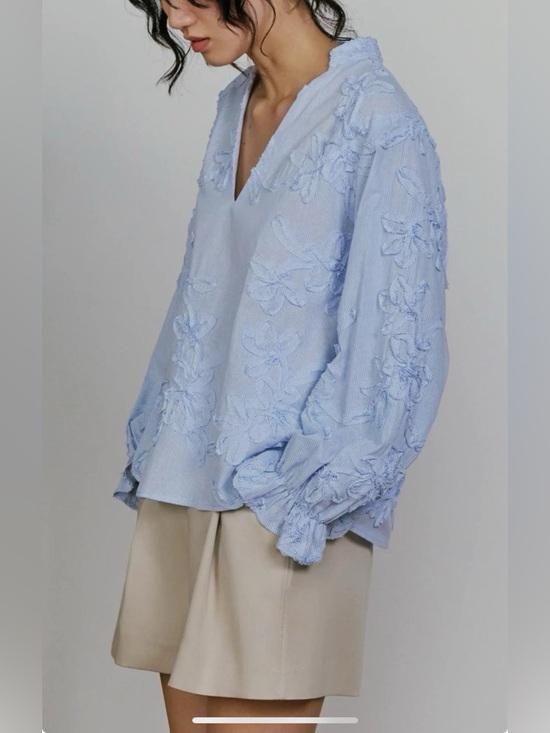 Tops - Zara Embroidered Floral Blue Stripe Blouse XS Cotton Boho